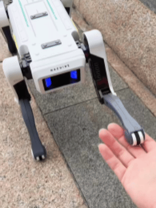 It Walks, Talks, Dances, and Flips—Pure Creative Energy in Motion!